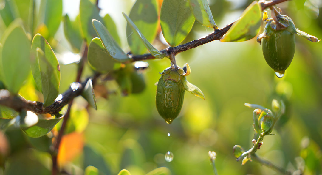 Why Your Skin Needs Natural Products