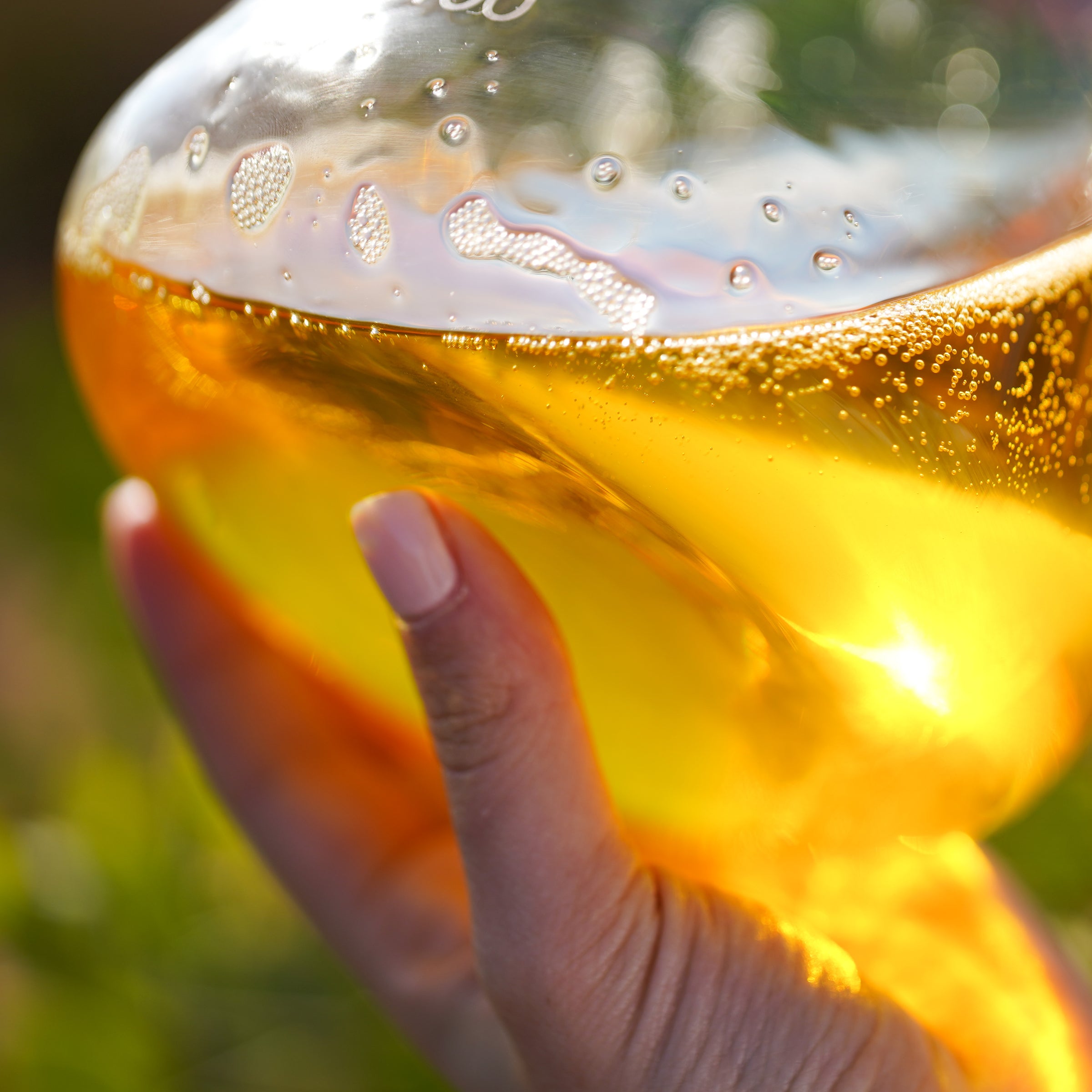 A close up of a person holding a wine glass.